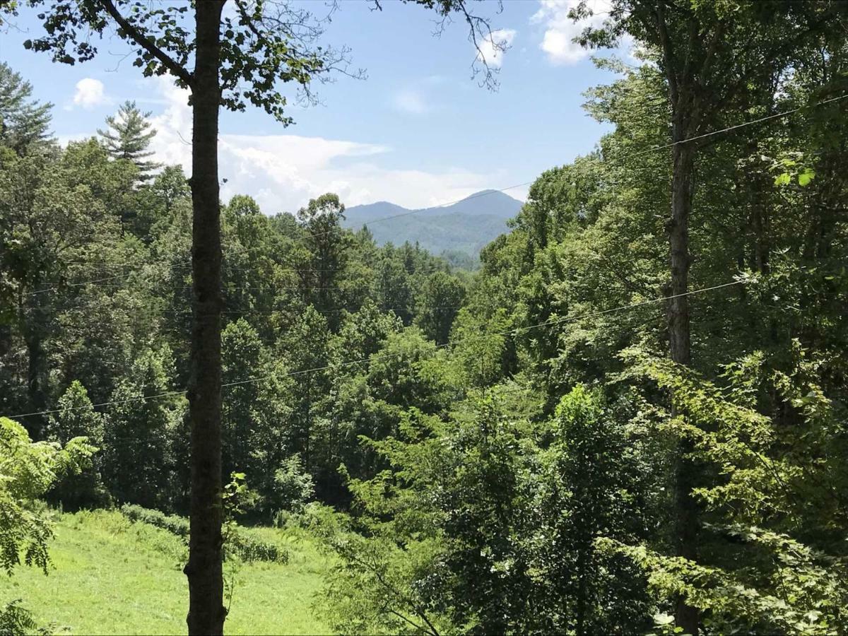 Moonshiner'S Hideaway Cabin Villa Bryson City Buitenkant foto